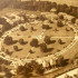 567_Aerial_View_of_IMH